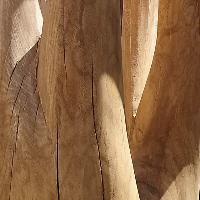 Berührung #1 / 2018 / Holz (Götterbaum), lasiert / H220 cm / RW527