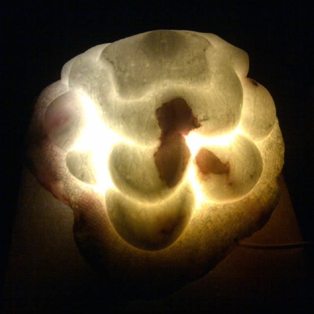 Leuchtskulptur / 2017 / Alabaster / B35 cm